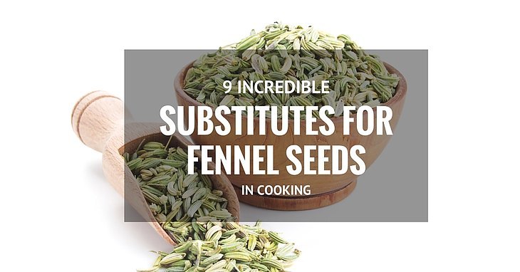 9 Incredible Fennel Seed Substitutes When Cooking August 2021