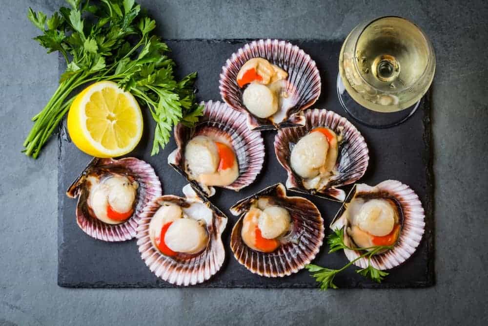 how-to-defrost-scallops