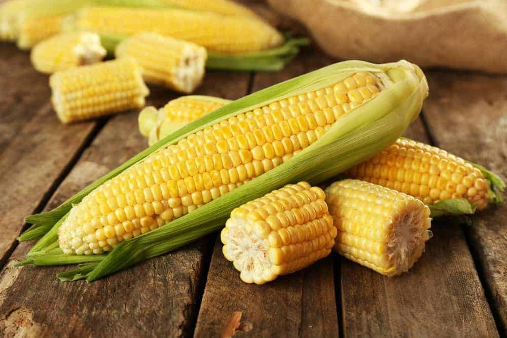 Recipe 2: Fresh Shoepeg Corn Dip