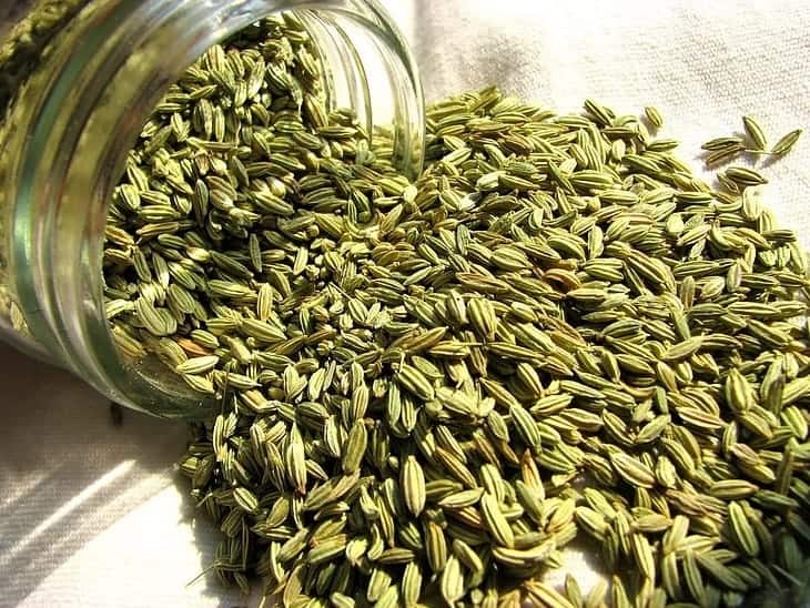 fennel-seed-substitute