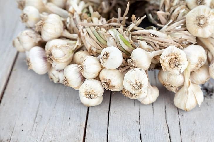 how-long-does-garlic-last-braided