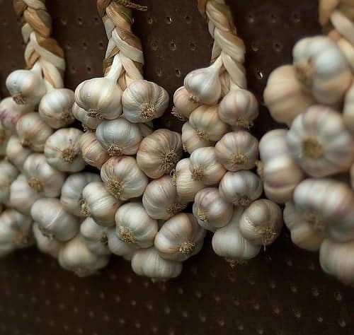 how-long-does-garlic-last-braiding