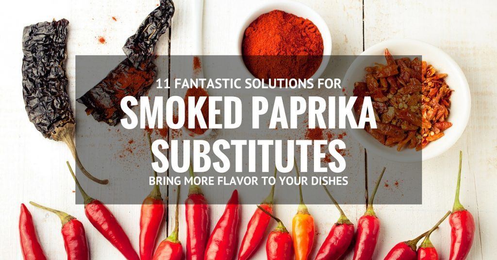Smoked Paprika Substitute 11 Fantastic Solutions For You