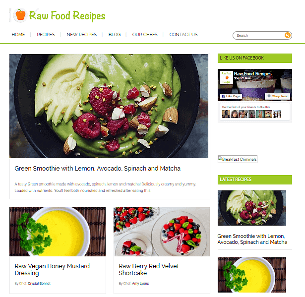 best-food-blogs-Raw-food-recipes