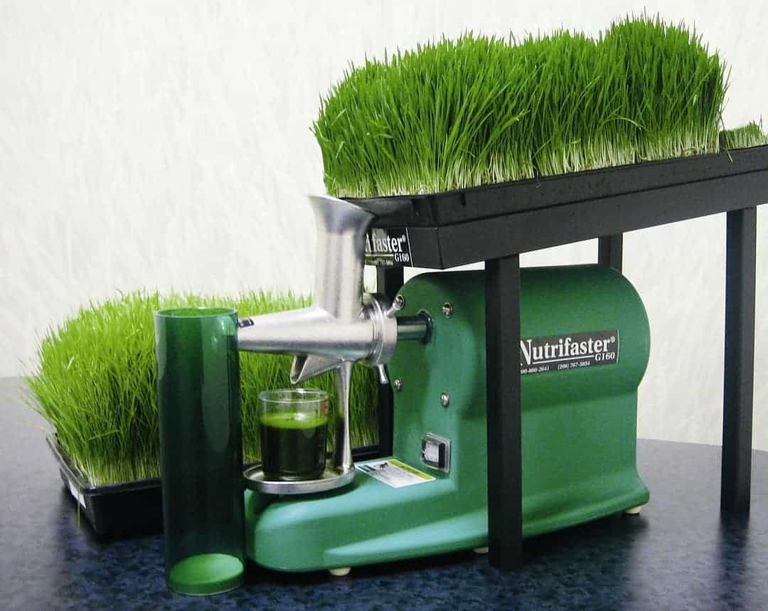 best-wheatgrass-juicer-size