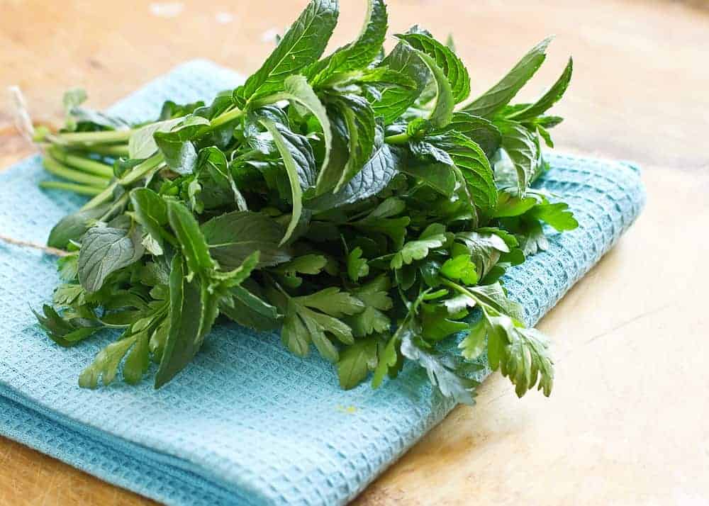sage-substitute-mint-parsley