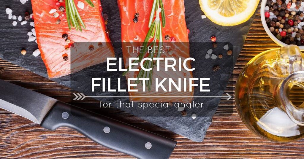 best-electric-fillet-knife-cover