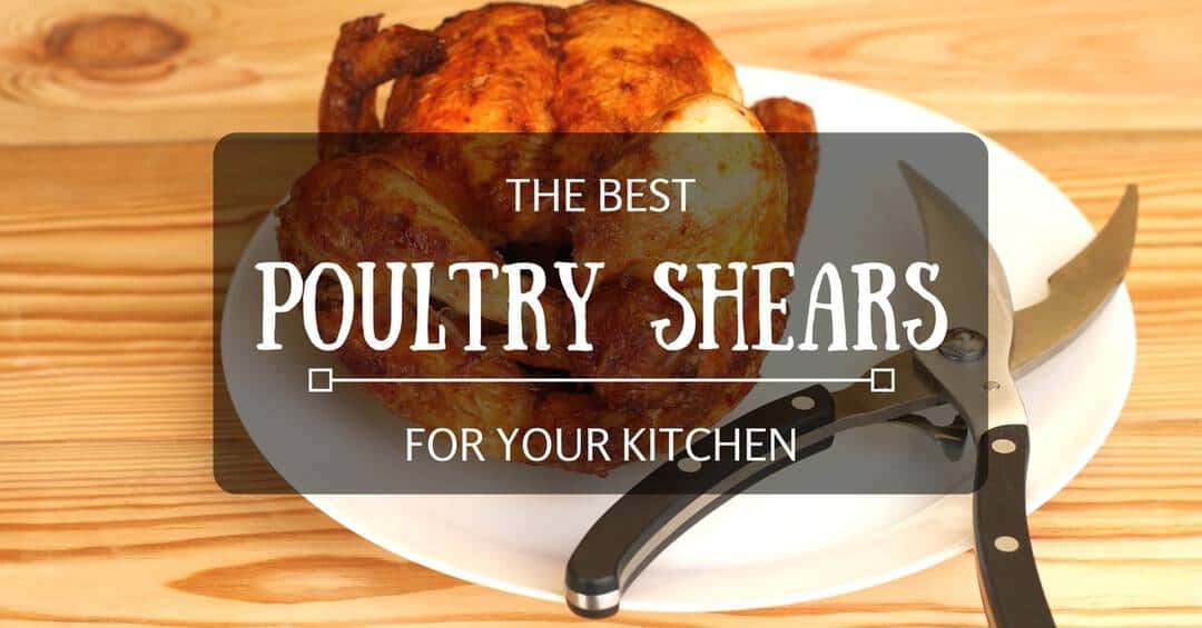 best-poultry-shears-cover