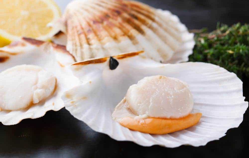 How To Defrost Scallops: All You Need To Know (Dec. 20 2016) How To Tell When Scallops Are Bad