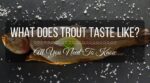 What does trout taste like