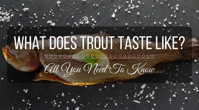What does trout taste like