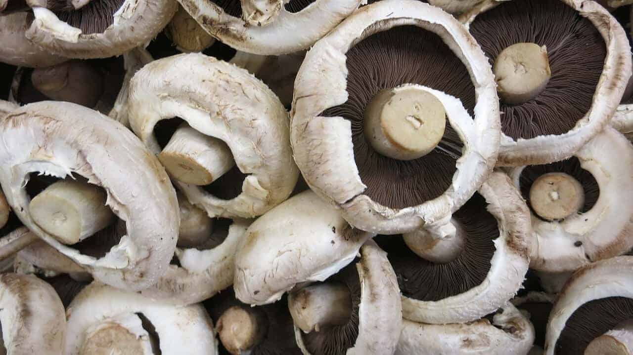 How Long Do Mushrooms Last In the Fridge
