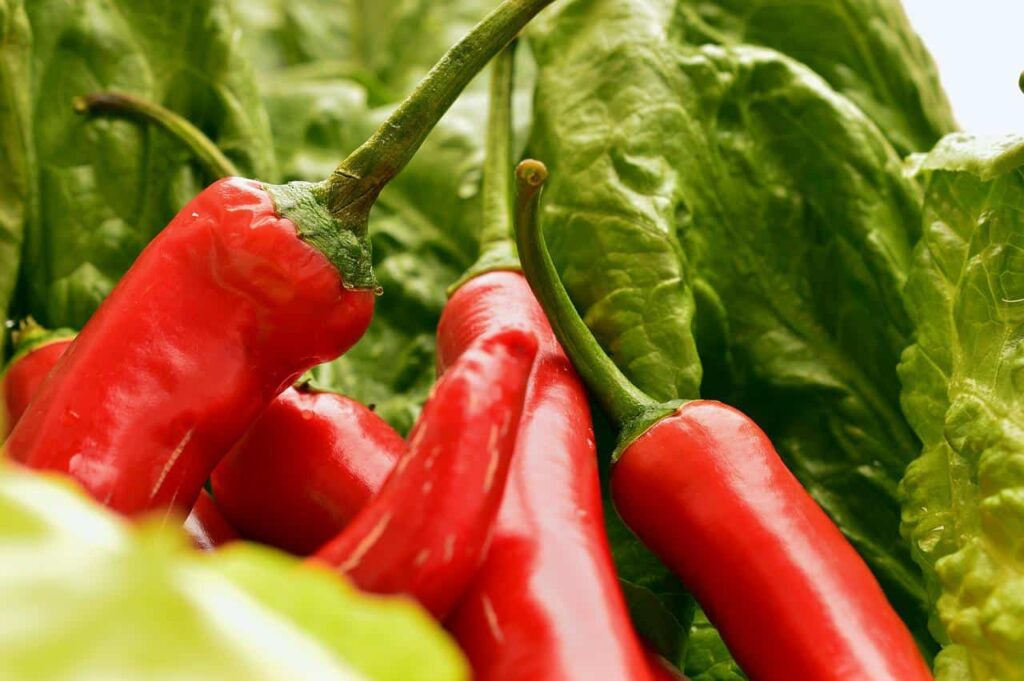 5 Best Substitutes To Piping Hot Paprika